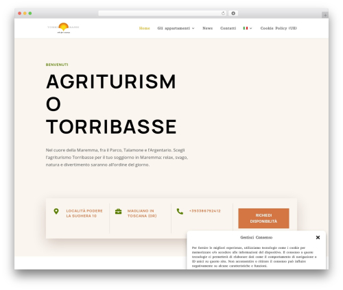 Language switcher for divi polylang WordPress plugin - torribasse.it