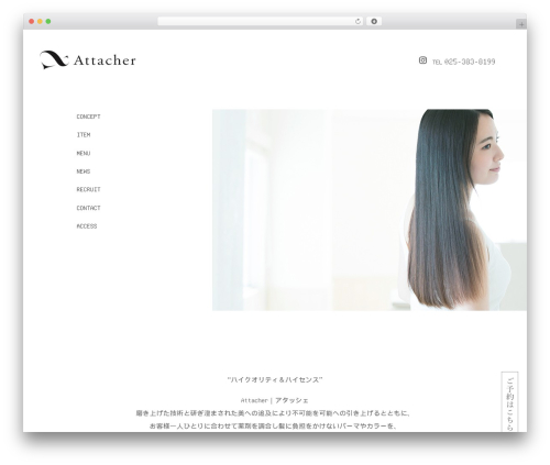 Themify Basic WordPress theme - attacher-kirin.com