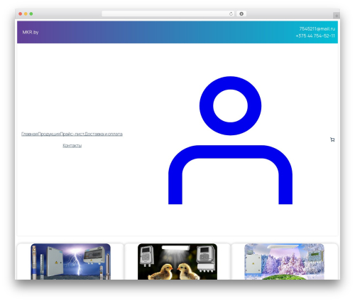 WordPress theme BigBlocks - mkr.by