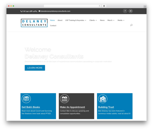 WordPress theme BodD-Child - delaneyconsultants.com