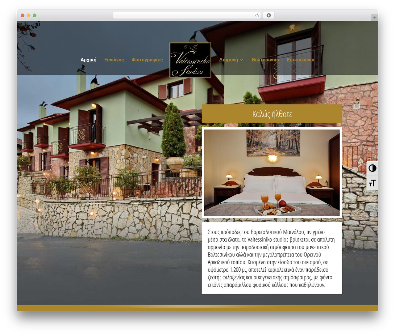 WordPress theme Divi - valtessinikostudios.gr