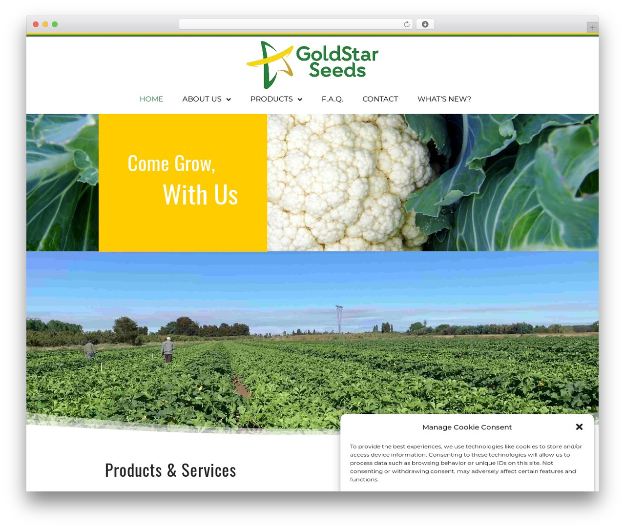 WordPress theme Exponent - goldstarseeds.com