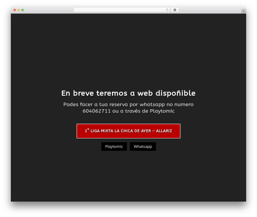 Blog designer pack pro WordPress plugin - padelallariz.com