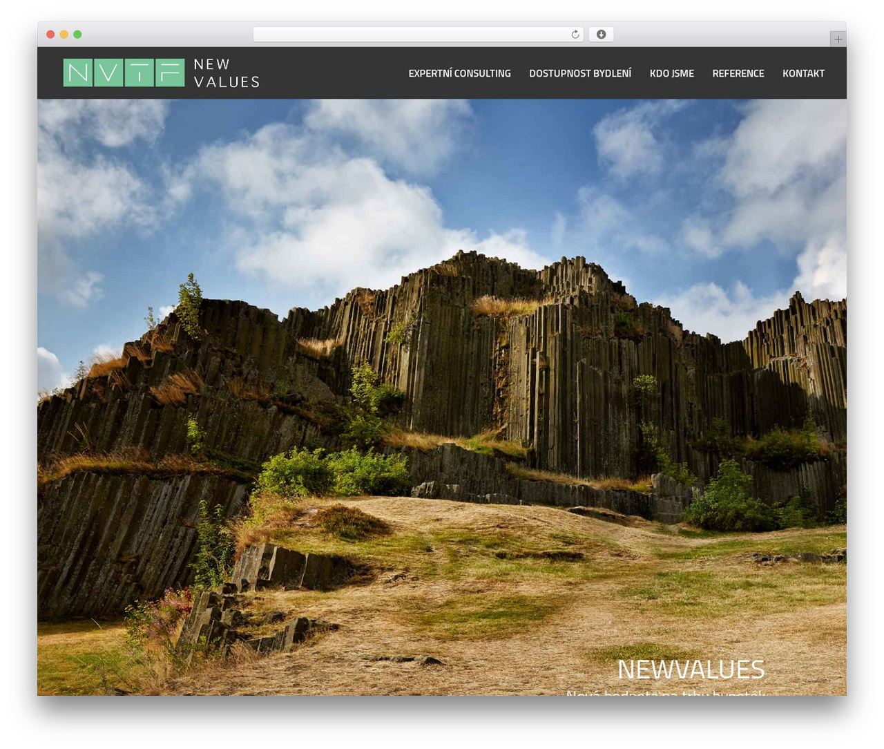 Divi WordPress theme - new-values.com