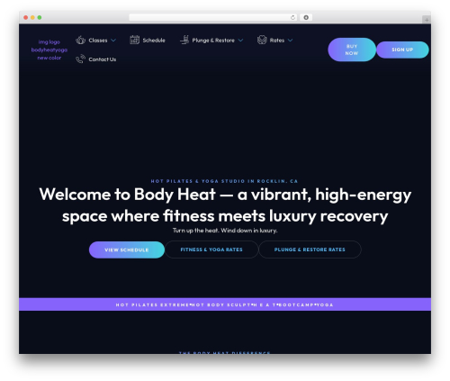 Pronto lead insights WordPress plugin - www.bodyheatyoga.com