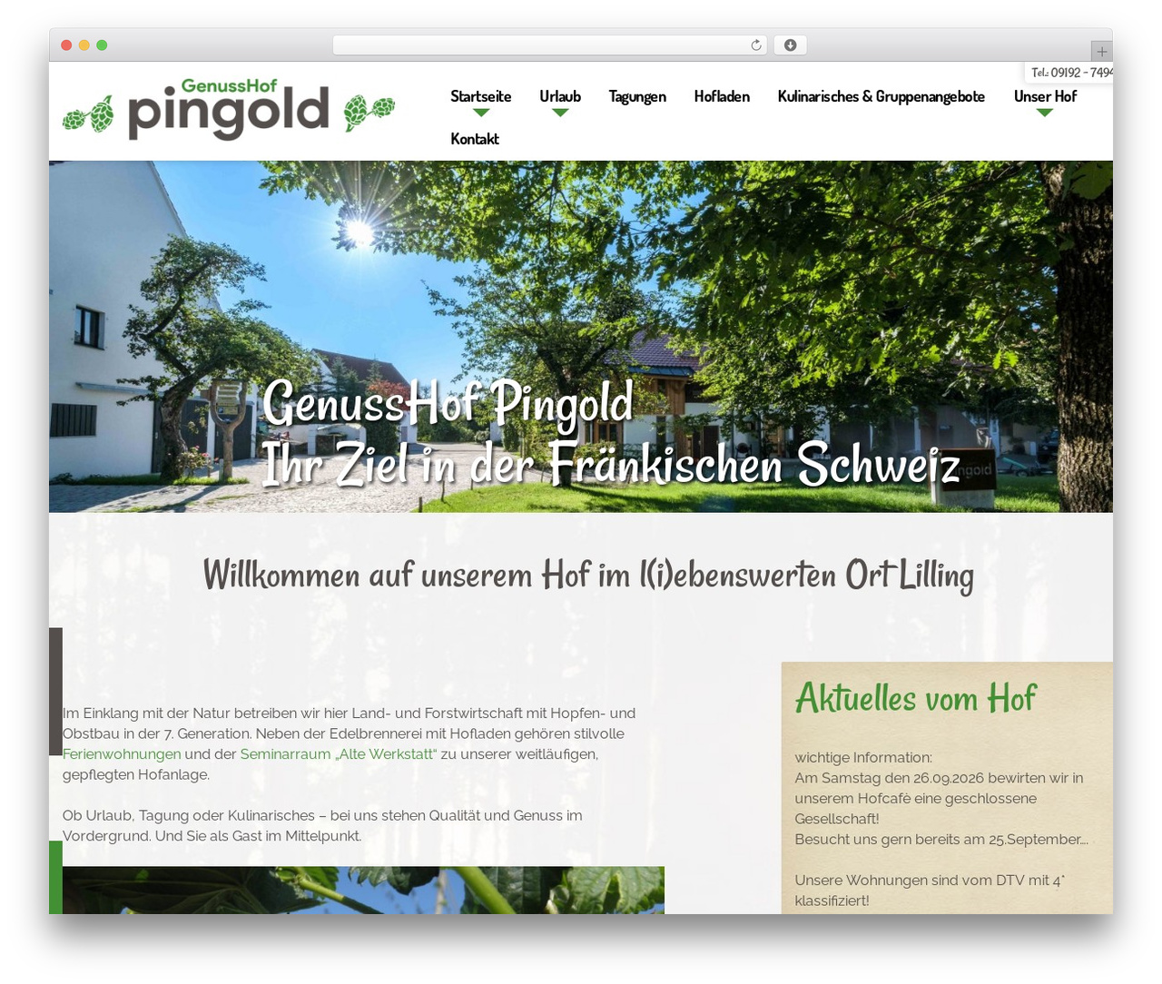 Pingold top WordPress theme - pingold.de