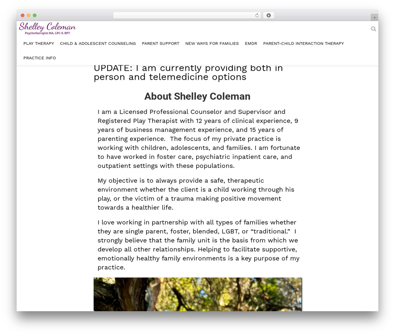 Theme WordPress Electus Child - shelleybcolemanlpc.com Theme WordPress Electus Child - shelleybcolemanlpc.com