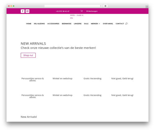 WordPress theme Divi - mixxl.nl