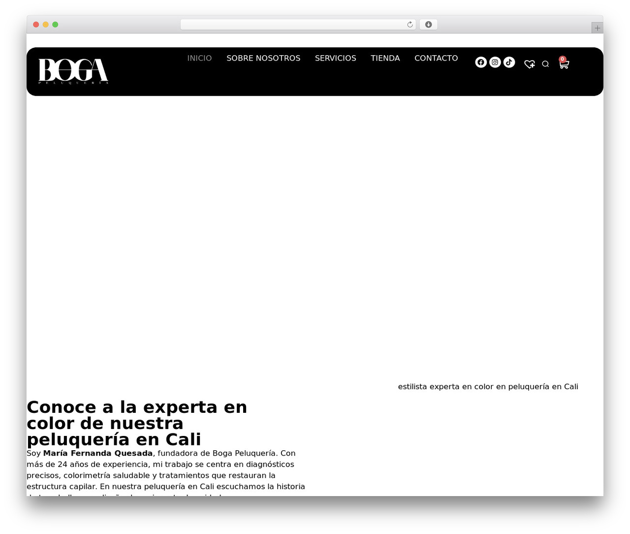 WordPress theme Hello Elementor - bogapeluqueria.com WordPress theme Hello Elementor - bogapeluqueria.com