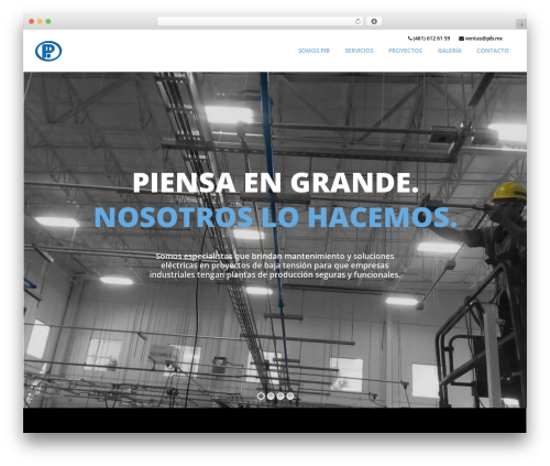 You WordPress theme - pib.mx