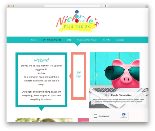 Accessibility plus WordPress plugin - nicholesfunfind.com