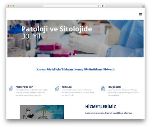 LabtechCO best WordPress theme - detaypatoloji.com