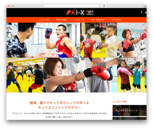MAXX top WordPress theme - ki-xfight.com