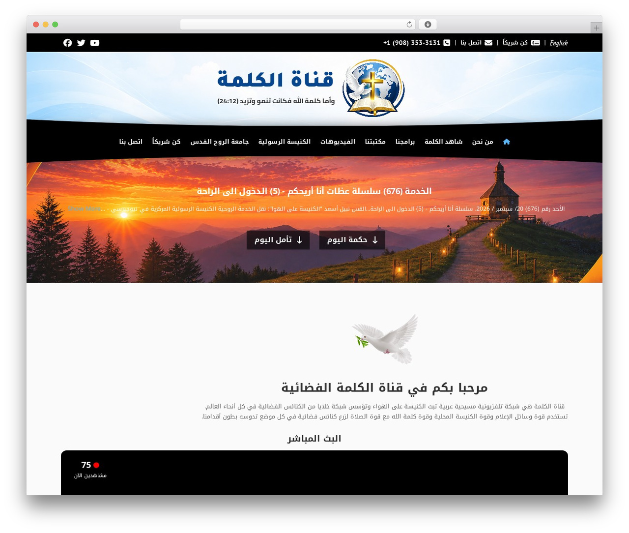 Pro &ndash; Child Theme WordPress theme - alkalema.tv