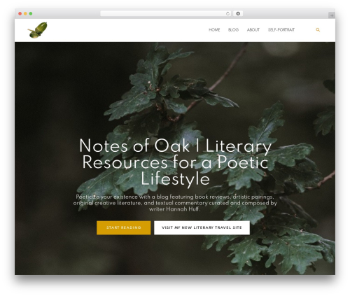 Icon Widget (icon-widget) free WordPress plugin - notesofoak.com