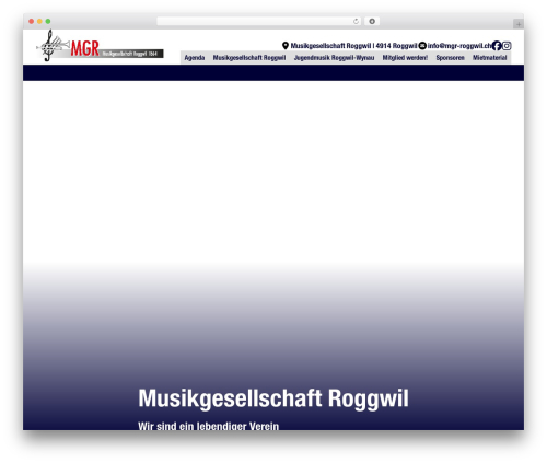 Display a meta field as block WordPress plugin - mgr-roggwil.ch