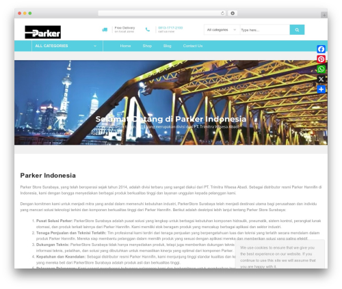 WordPress theme Xtocky - parkerindonesia.com