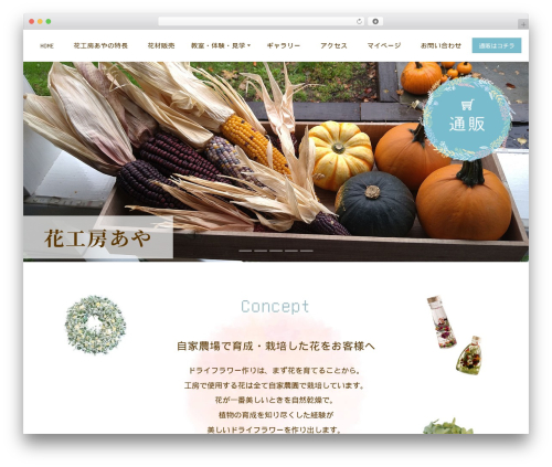 WordPress website theme Aplan - hanakoboaya.com