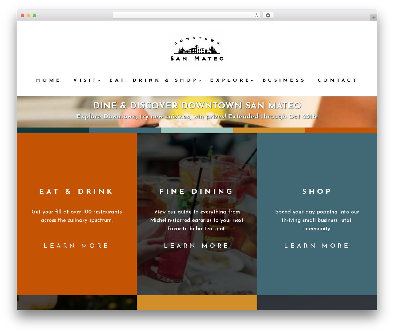 Divi theme WordPress - dsma.org