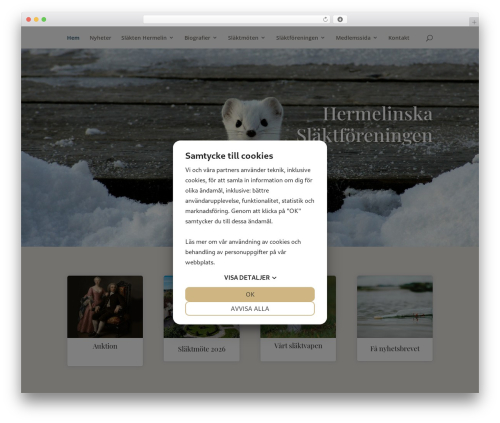 Divi WordPress theme - hermelin.net
