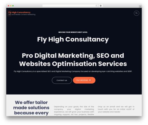 Socex WordPress theme - flyhighconsultancy.com