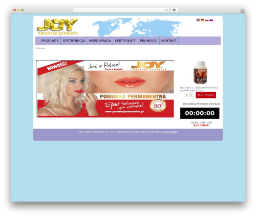 Website Style WordPress theme - joyusa.eu