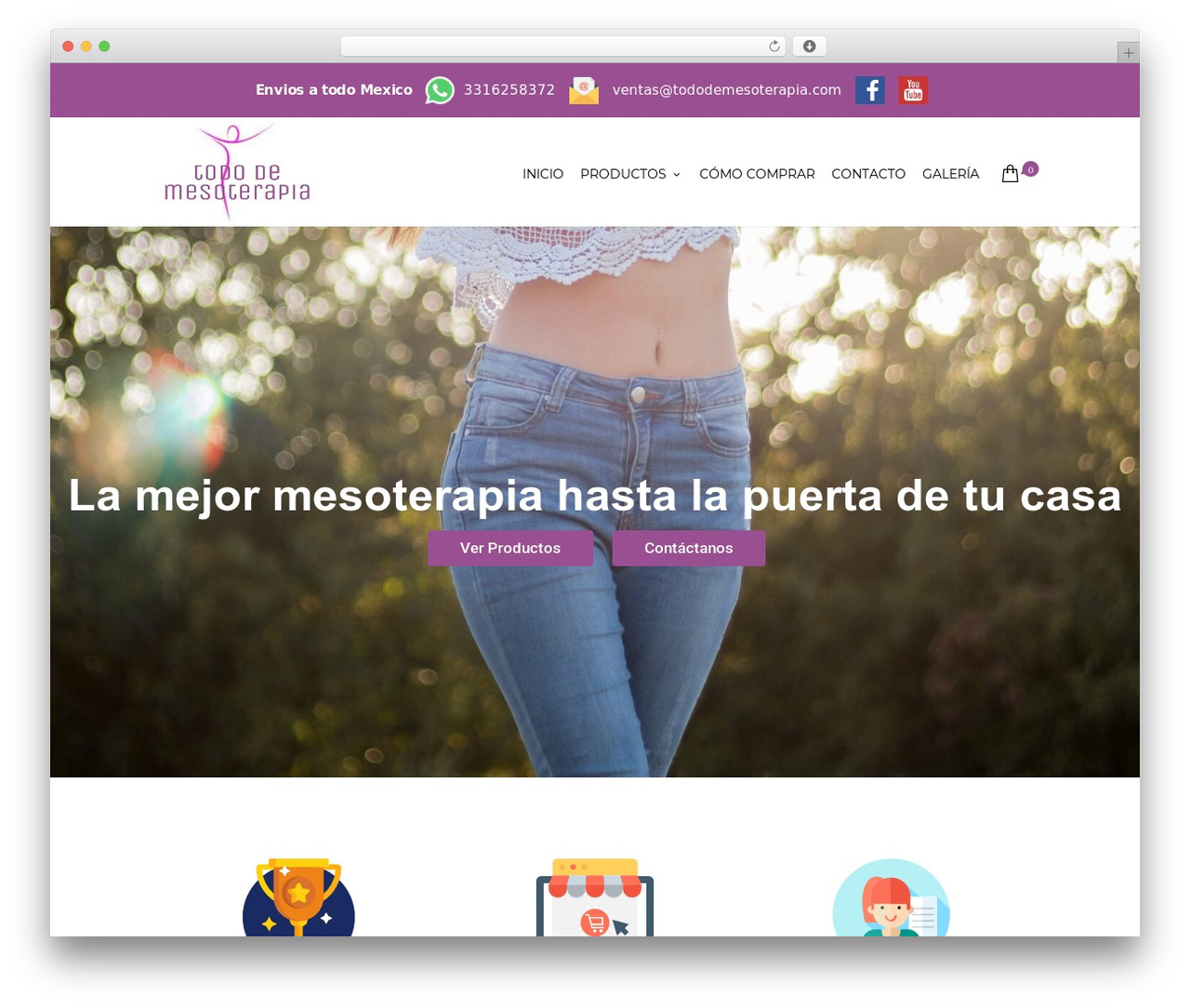 WP theme Elegante - tododemesoterapia.com