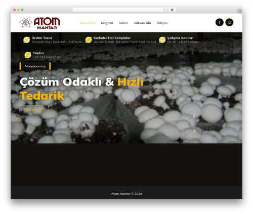 Crowl WordPress theme - atommantar.com