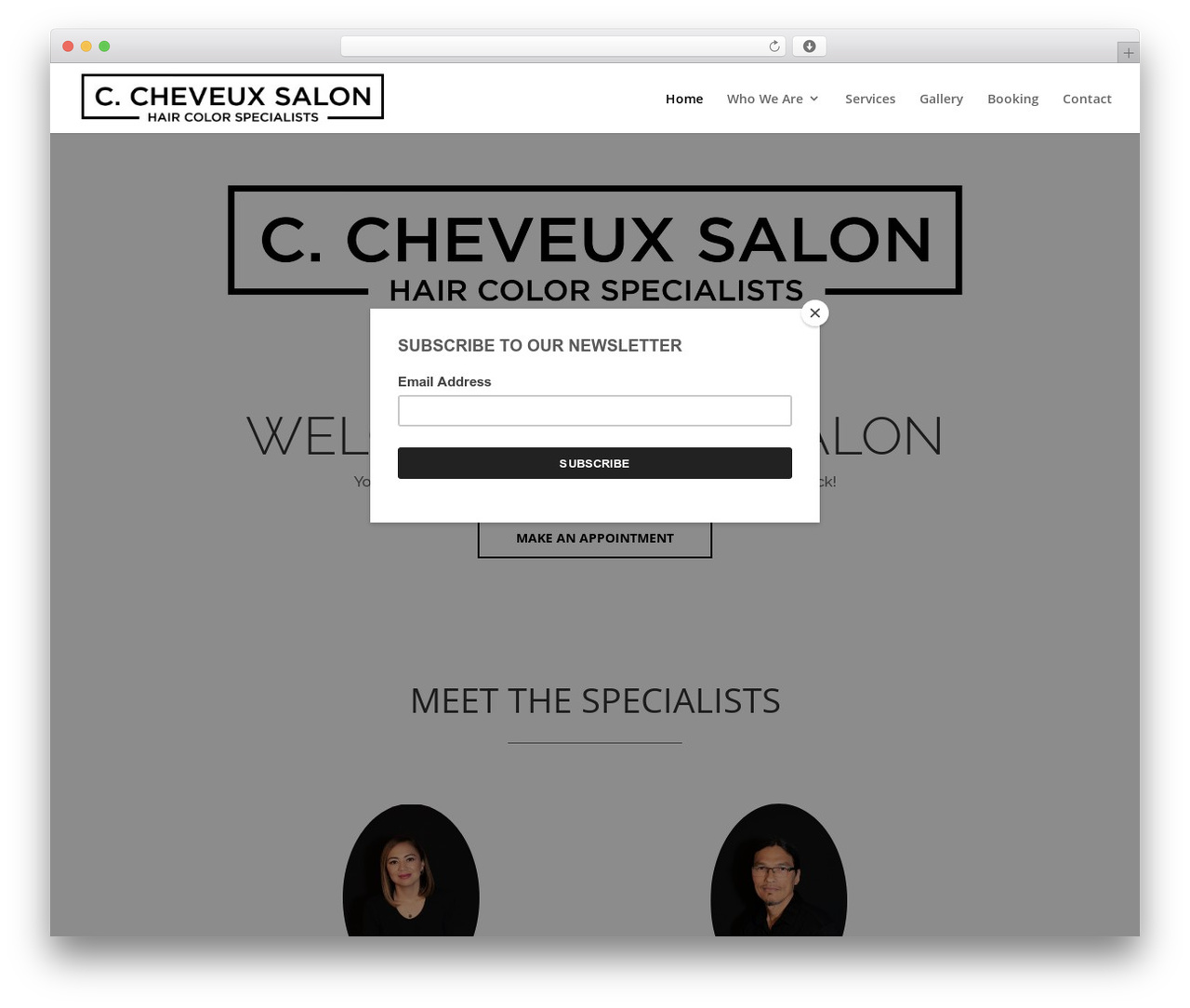 Divi WordPress theme - ccheveux.com Divi WordPress theme - ccheveux.com