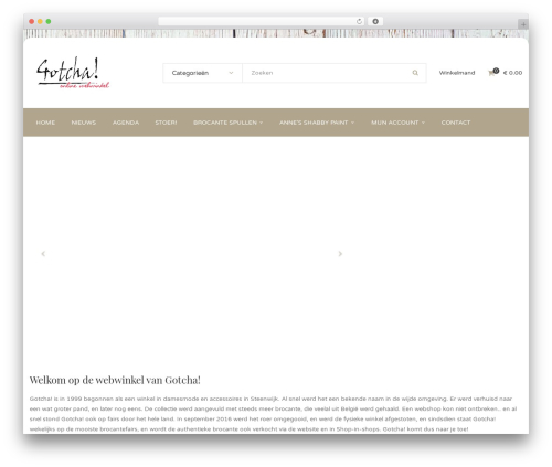 Dynamic grid gallery WordPress plugin - gotchasteenwijk.nl