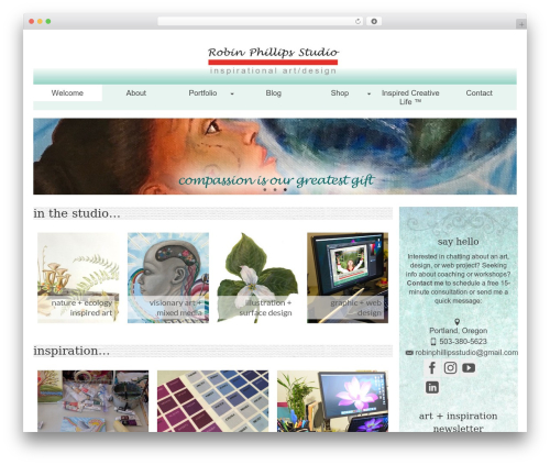 Kadence galleries WordPress plugin - robinphillipsstudio.com