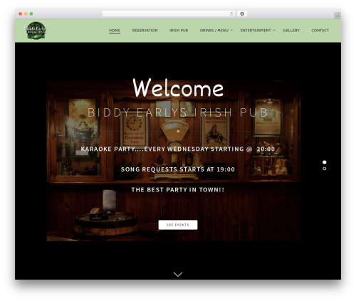 Pixlikes WordPress plugin - biddyearlys.com