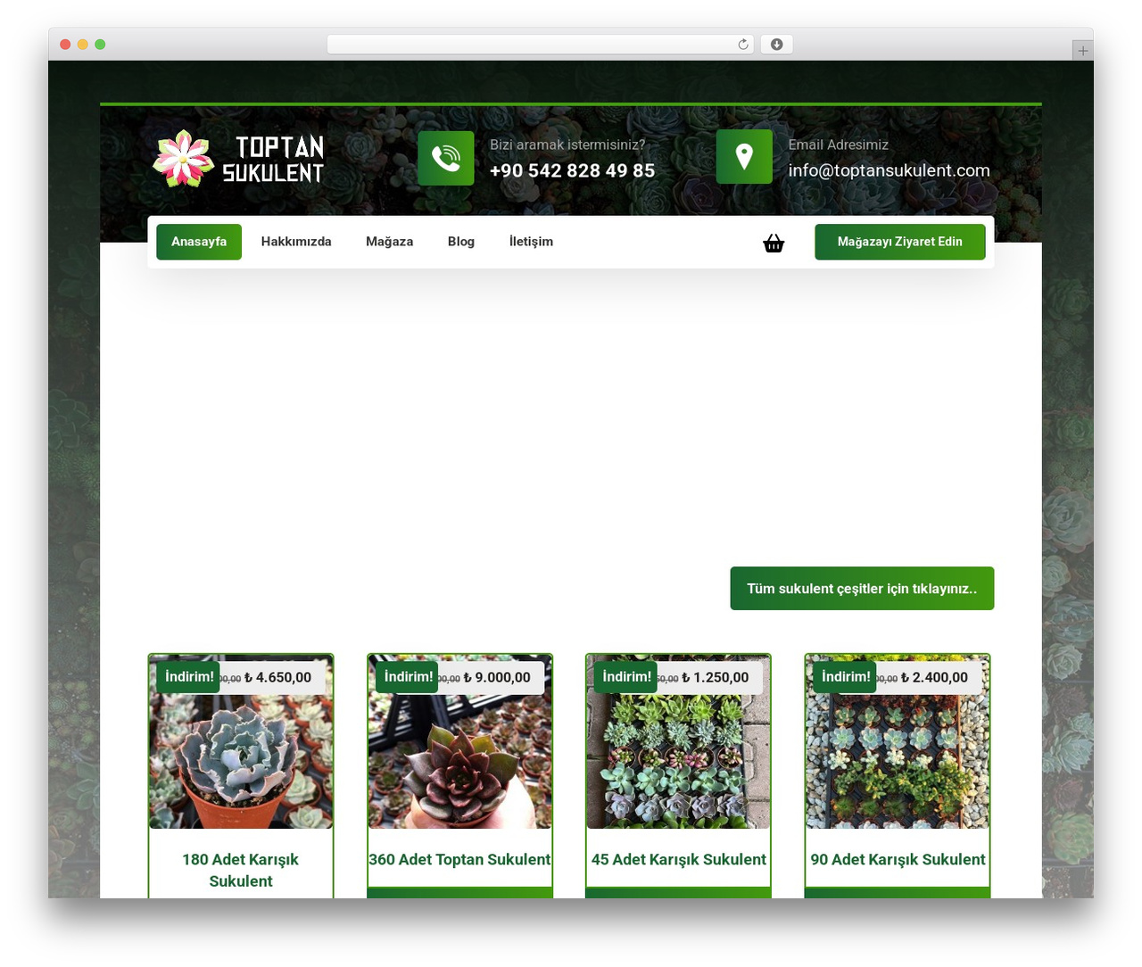 WordPress theme Xtra - toptansukulent.com