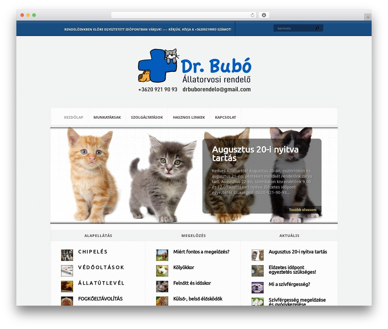 Aggregate WordPress theme design - drbuborendelo.hu