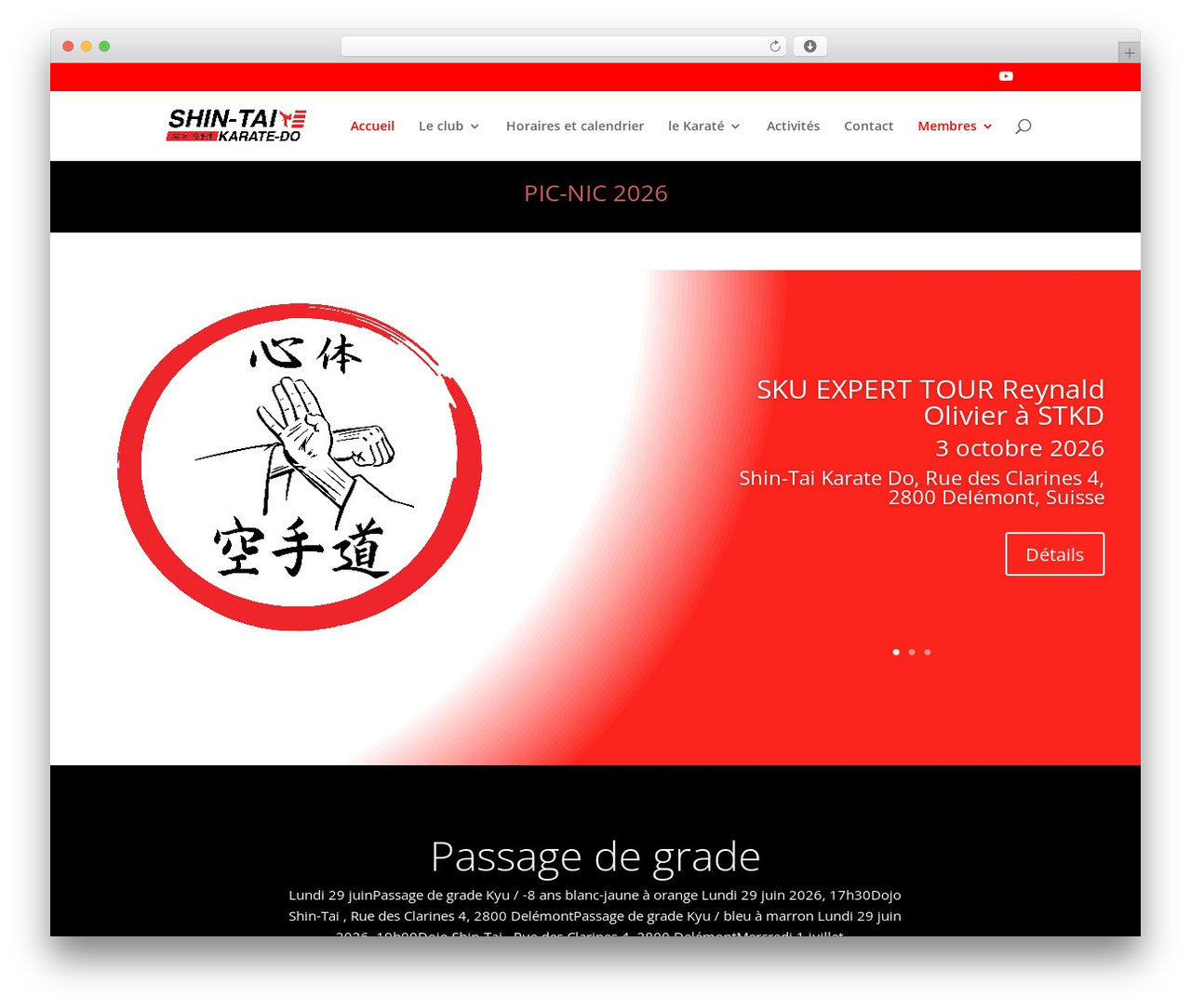Divi WordPress theme design - stkd.ch