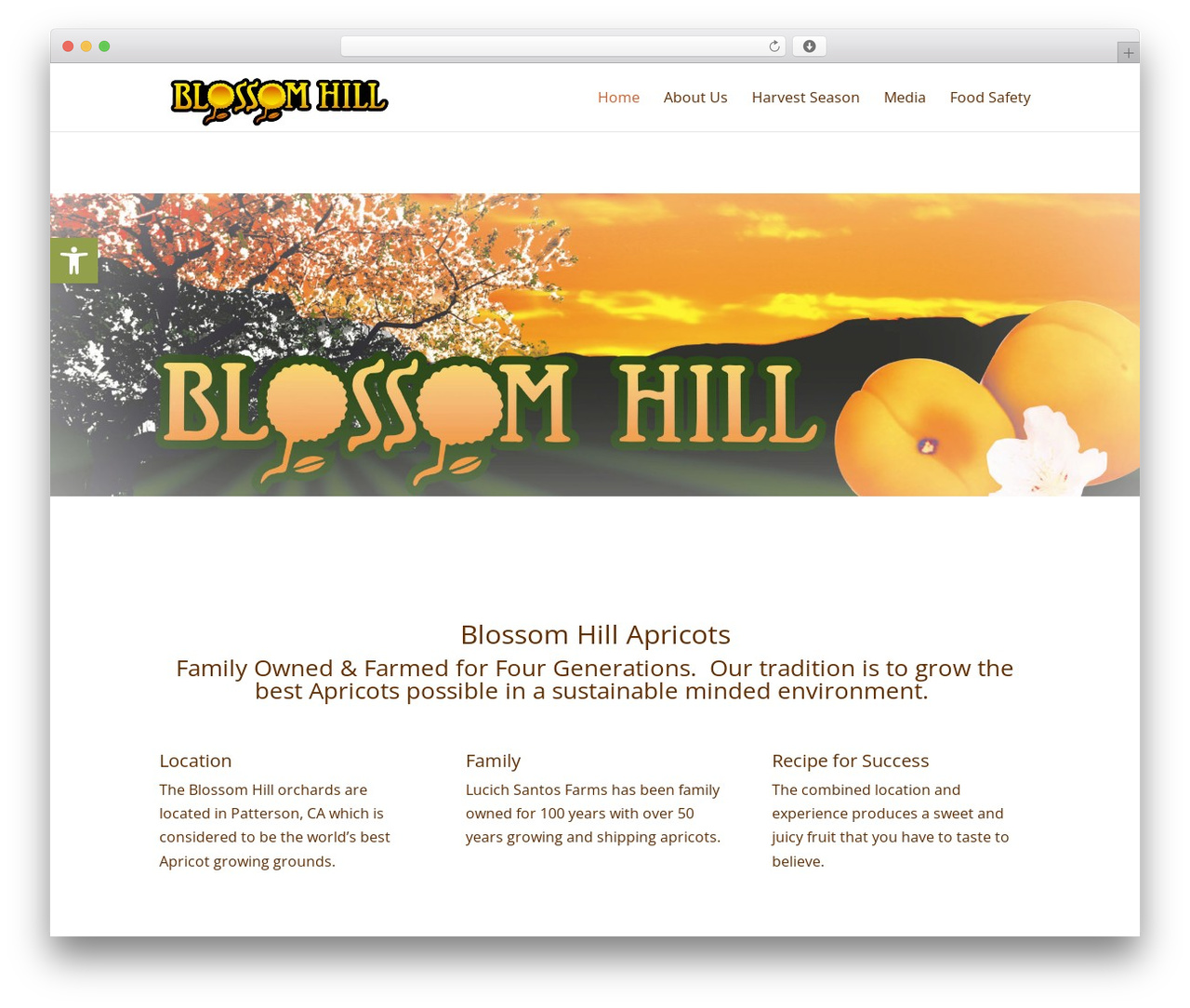 Divi WordPress theme - blossomhillapricots.com