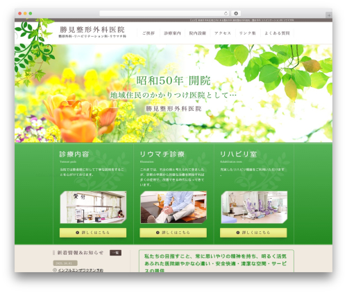 WordPress theme DECADE2カラム左 - katsumiseikei.org