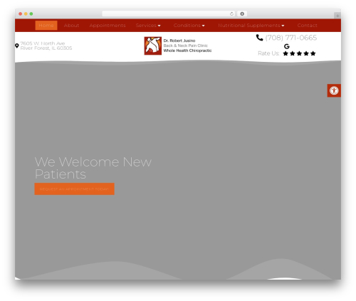 WordPress theme Parent Theme - chiroconsults.com