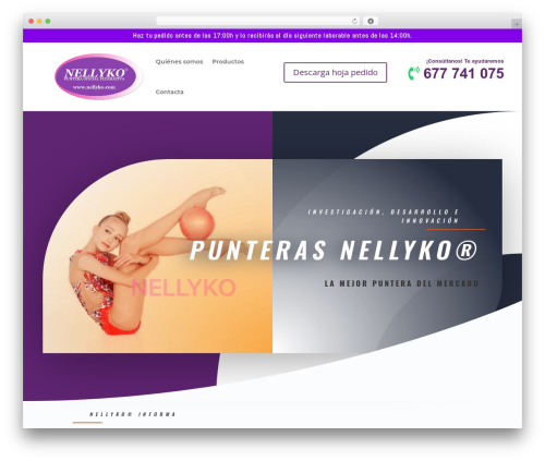Advanced dynamic pricing for woocommerce pro WordPress plugin - nellyko.com