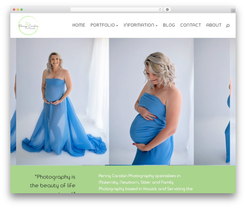 WordPress theme Divi - pennycarolanphotography.com
