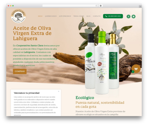 WordPress theme Divi - alcuzasantaclara.com