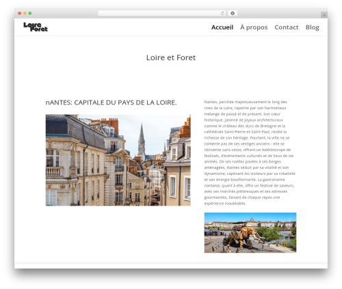 Divi contact form zero spam WordPress plugin - loire-et-foret.com