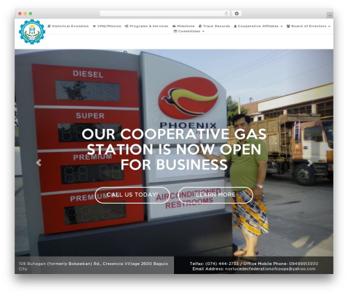 WordPress theme Linkage WP Base Theme - norlucedec.com