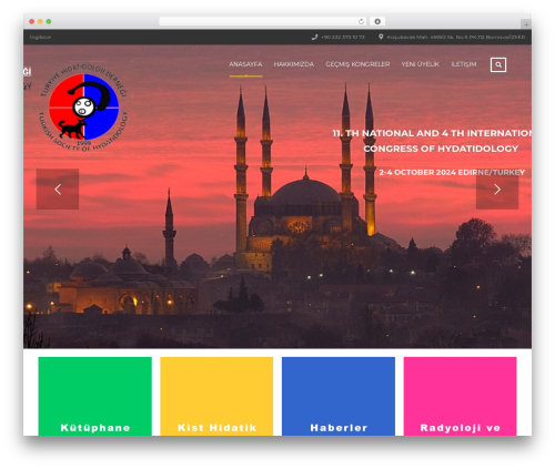 Masterstudy elementor widgets WordPress plugin - hidatidoloji.org