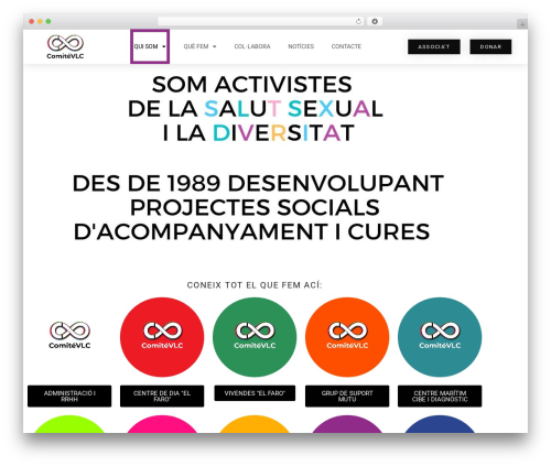 WordPress theme Ovation - comiteantisidavalencia.org