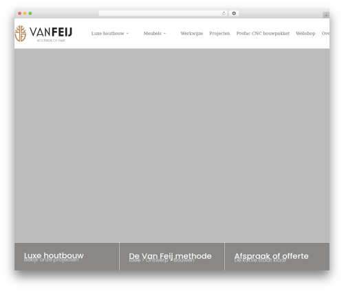 Text unfold for elementor WordPress plugin - vanfeij.nl