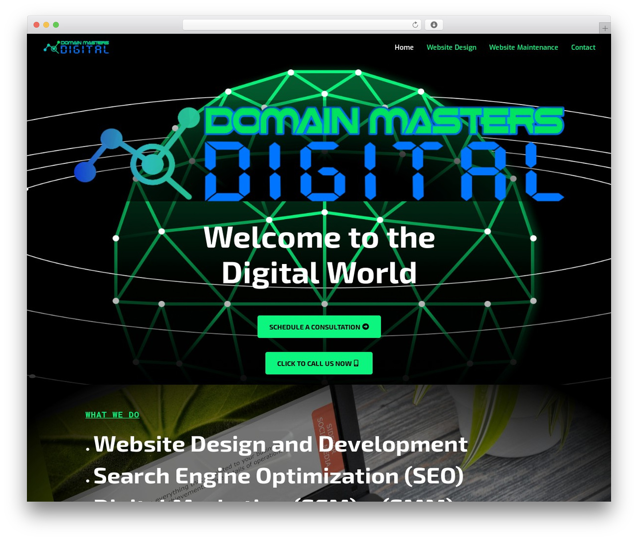 Domain Masters Digital WordPress theme - domainmastersdigital.com