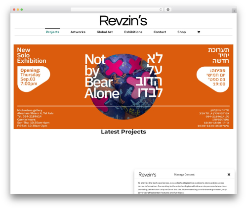 Poza best WordPress theme - elirevzin.com
