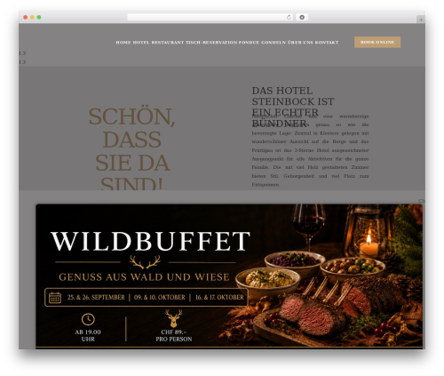 Flo flex builder WordPress plugin - steinbock-klosters.ch