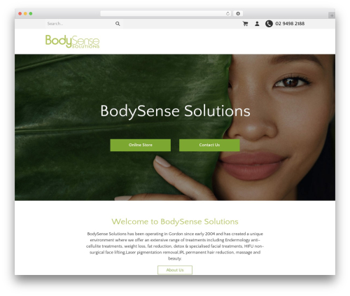 theme 2 theme WordPress - bodysensesolutions.com.au